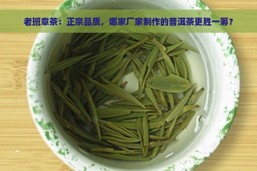 老班章茶：正宗品质，哪家厂家制作的普洱茶更胜一筹？