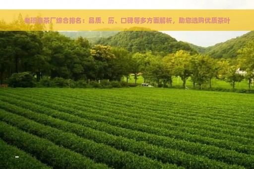 老班章茶厂综合排名：品质、历、口碑等多方面解析，助您选购优质茶叶