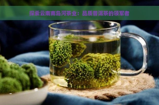 探索云南南岛河茶业：品质普洱茶的领军者