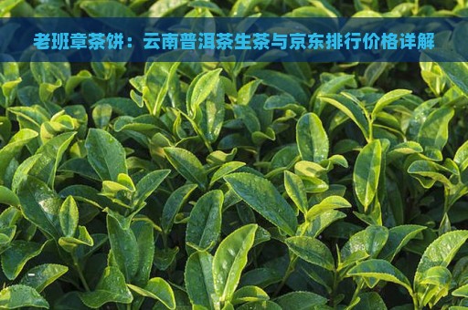 老班章茶饼：云南普洱茶生茶与京东排行价格详解