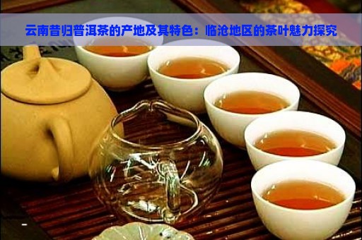 云南昔归普洱茶的产地及其特色：临沧地区的茶叶魅力探究