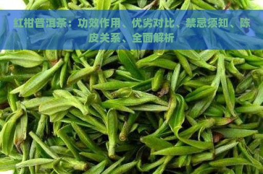 红柑普洱茶：功效作用、优劣对比、禁忌须知、陈皮关系、全面解析