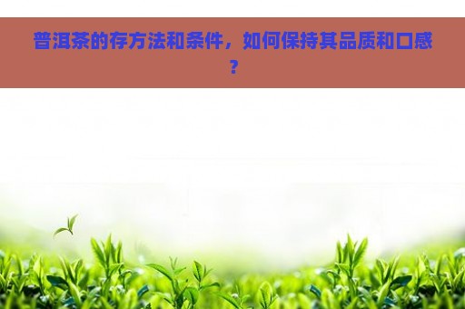 普洱茶的存方法和条件，如何保持其品质和口感？