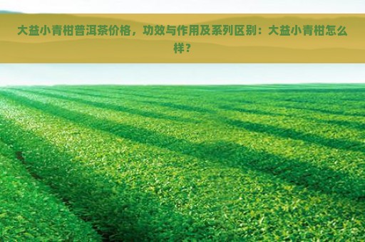 大益小青柑普洱茶价格，功效与作用及系列区别：大益小青柑怎么样？