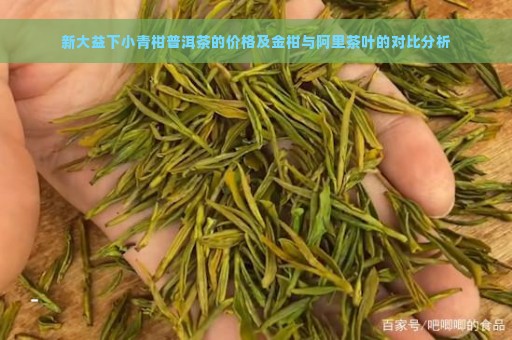 新大益下小青柑普洱茶的价格及金柑与阿里茶叶的对比分析