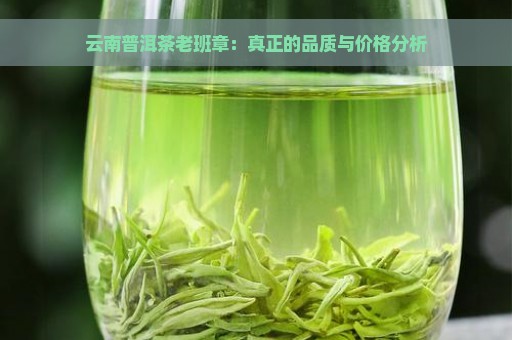 云南普洱茶老班章：真正的品质与价格分析