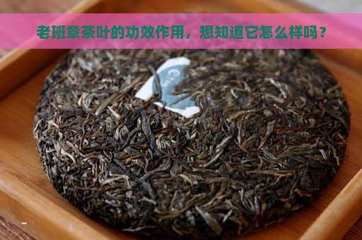 老班章茶叶的功效作用，想知道它怎么样吗？