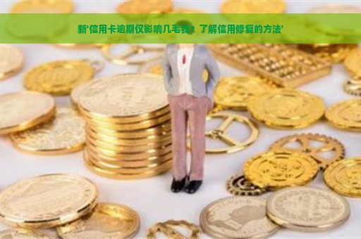 新'信用卡逾期仅影响几毛钱？了解信用修复的方法'