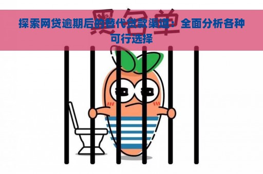 探索网贷逾期后的替代贷款渠道：全面分析各种可行选择