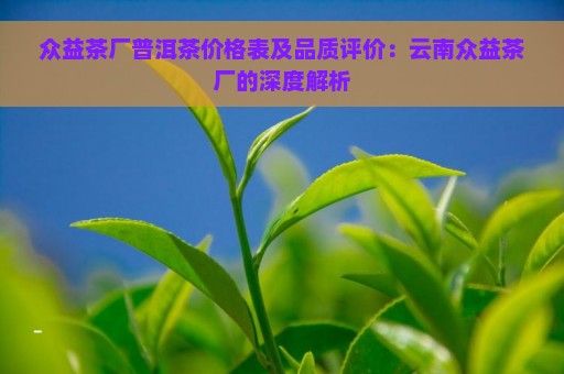 众益茶厂普洱茶价格表及品质评价：云南众益茶厂的深度解析