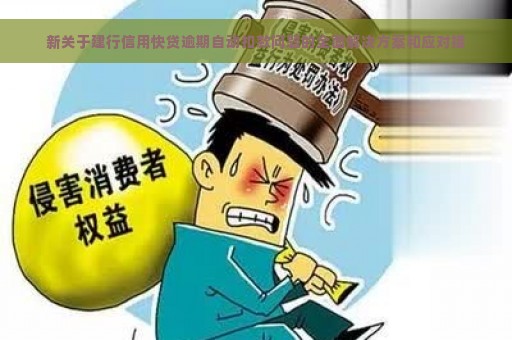 新关于建行信用快贷逾期自动扣款问题的全面解决方案和应对措