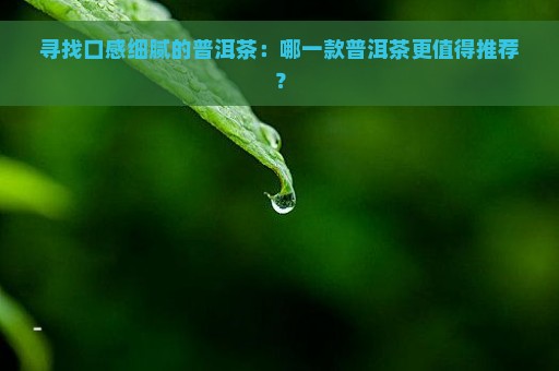 寻找口感细腻的普洱茶：哪一款普洱茶更值得推荐？