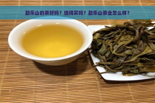 勐乐山的茶好吗？值得买吗？勐乐山茶业怎么样？