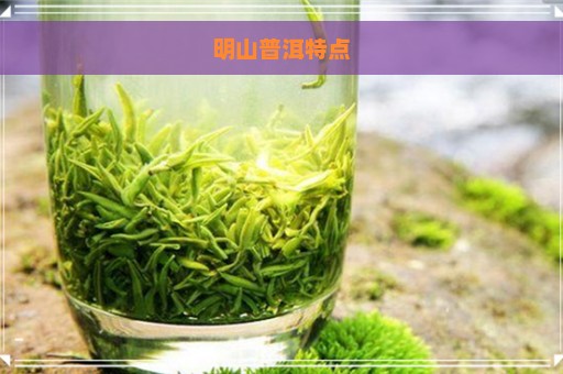 明山普洱特点