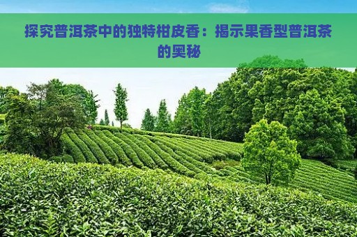 探究普洱茶中的独特柑皮香：揭示果香型普洱茶的奥秘