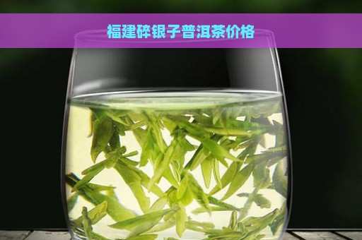 福建碎银子普洱茶价格