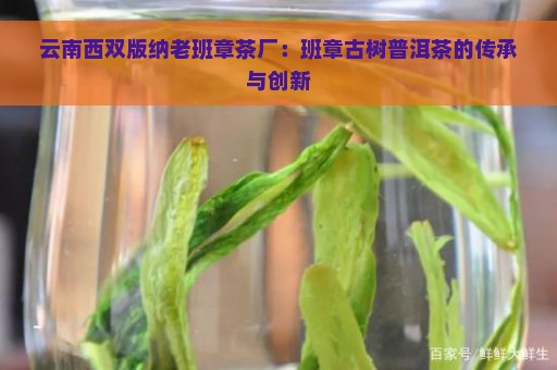 云南西双版纳老班章茶厂：班章古树普洱茶的传承与创新