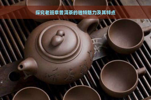 探究老班章普洱茶的独特魅力及其特点