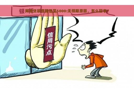 网商贷额度降低至5000:无预期原因，怎么回事？