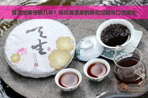 普洱生茶存放几年？探究普洱茶的陈化过程与口感变化