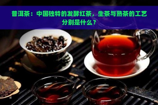 普洱茶：中国独特的发酵红茶，生茶与熟茶的工艺分别是什么？