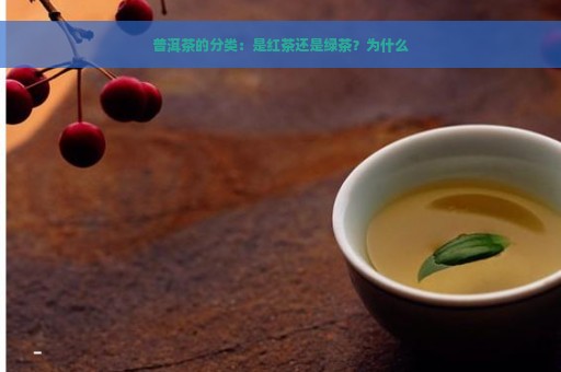 普洱茶的分类：是红茶还是绿茶？为什么