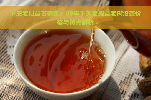 下关老班章古树茶：09年下关老班章老树沱茶价格与特点解析