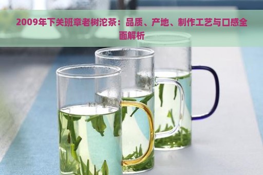 2009年下关班章老树沱茶：品质、产地、制作工艺与口感全面解析