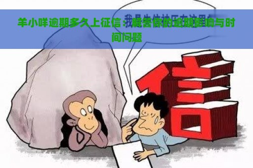 羊小咩逾期多久上征信：解答你的逾期影响与时间问题