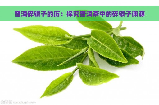 普洱碎银子的历：探究普洱茶中的碎银子渊源