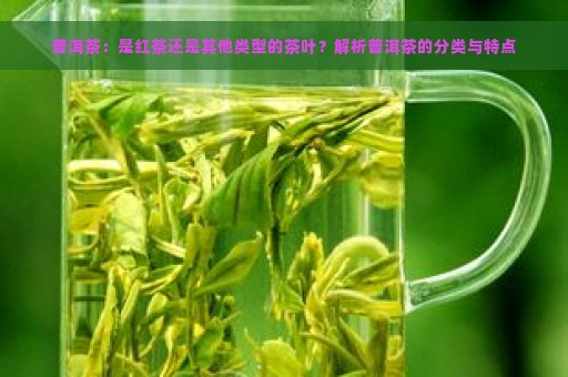 普洱茶：是红茶还是其他类型的茶叶？解析普洱茶的分类与特点