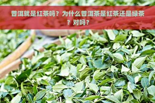 普洱就是红茶吗？为什么普洱茶是红茶还是绿茶？对吗？