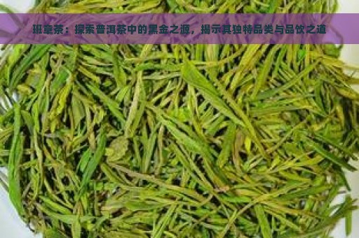 班章茶：探索普洱茶中的黑金之源，揭示其独特品类与品饮之道