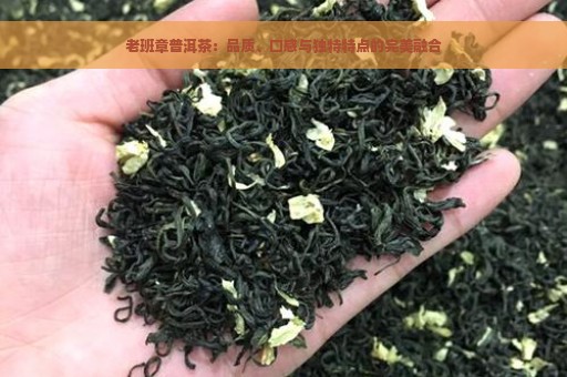 老班章普洱茶：品质、口感与独特特点的完美融合