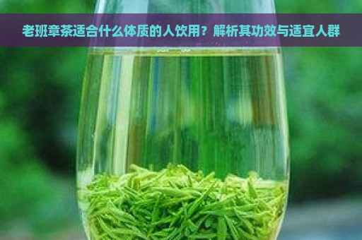 老班章茶适合什么体质的人饮用？解析其功效与适宜人群