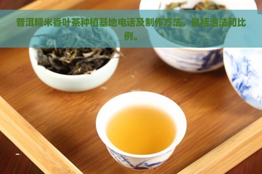 普洱糯米香叶茶种植基地电话及制作方法，包括泡法和比例。