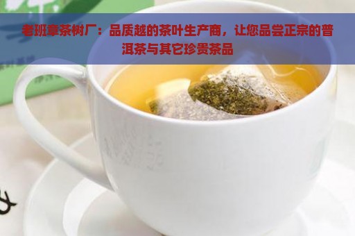 老班章茶树厂：品质越的茶叶生产商，让您品尝正宗的普洱茶与其它珍贵茶品