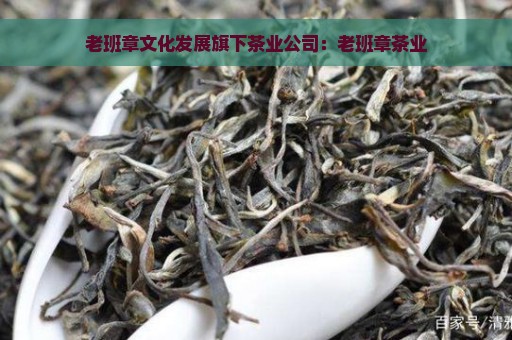 老班章文化发展旗下茶业公司：老班章茶业