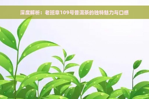 深度解析：老班章109号普洱茶的独特魅力与口感