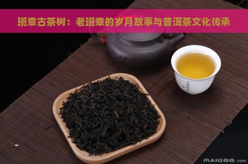 班章古茶树：老班章的岁月故事与普洱茶文化传承