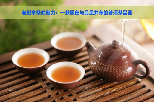 老班章茶的魅力：一款颜色与品质并存的普洱茶品鉴