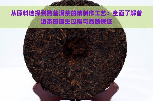 从原料选择到熟普洱茶的精制作工艺：全面了解普洱茶的诞生过程与品质保证