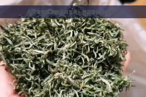 探究老班章茶的历与文化：普洱茶的独特魅力