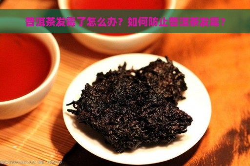 普洱茶发霉了怎么办？如何防止普洱茶发霉？