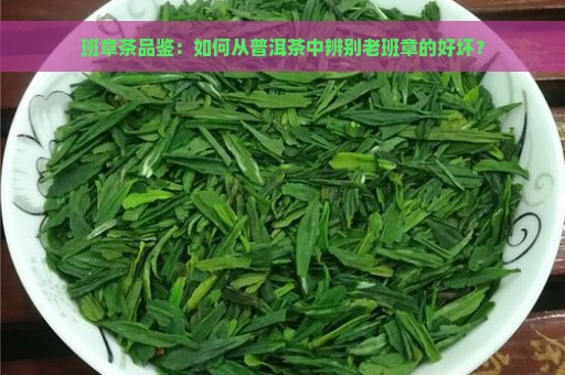 班章茶品鉴：如何从普洱茶中辨别老班章的好坏？