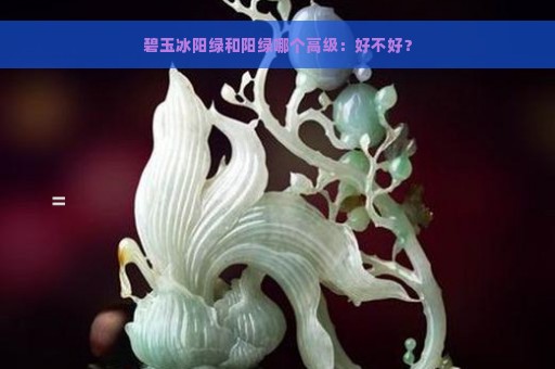 碧玉冰阳绿和阳绿哪个高级：好不好？