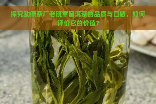 探究勐傣茶厂老班章普洱茶的品质与口感，如何评价它的价值？