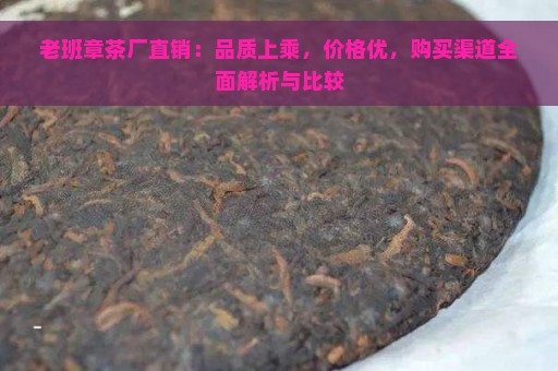 老班章茶厂直销：品质上乘，价格优，购买渠道全面解析与比较