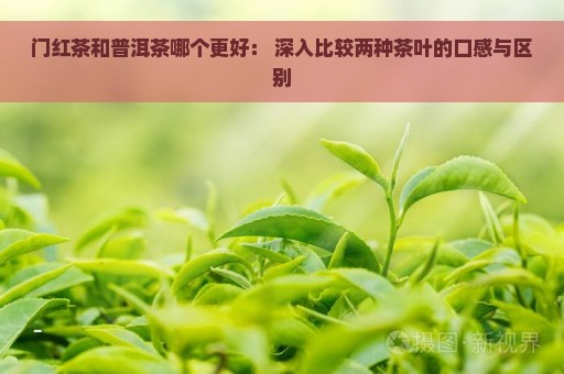 门红茶和普洱茶哪个更好： 深入比较两种茶叶的口感与区别