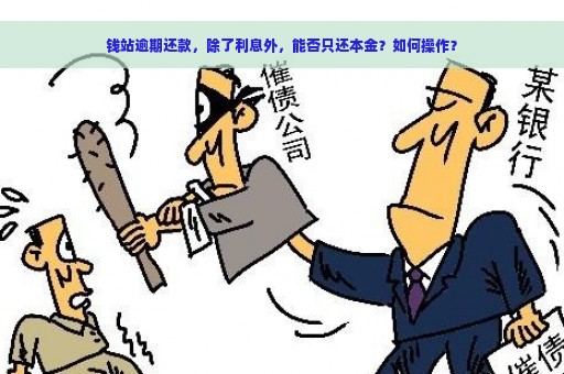 钱站逾期还款，除了利息外，能否只还本金？如何操作？